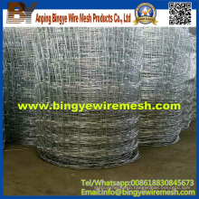 Hot Sale Galvanized Steel Wire Cattle Fence